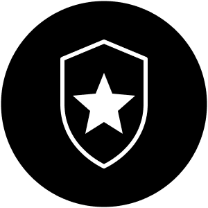 Government and defense solutions icon